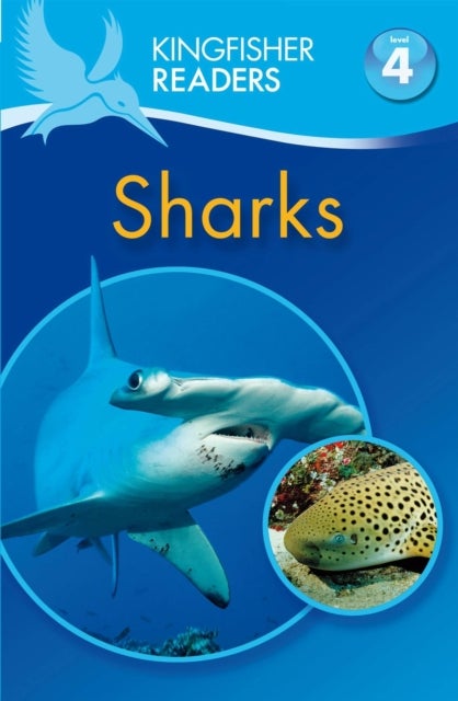 Bilde av Kingfisher Readers: Sharks (level 4: Reading Alone) Av Anita Ganeri
