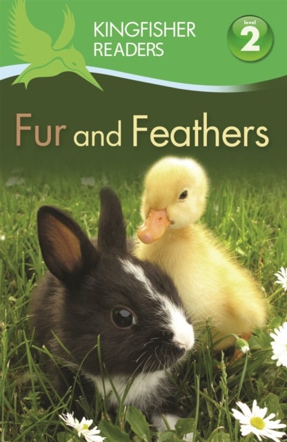 Bilde av Kingfisher Readers: Fur And Feathers (level 2: Beginning To Read Alone) Av Claire Llewellyn, Kingfisher (individual)