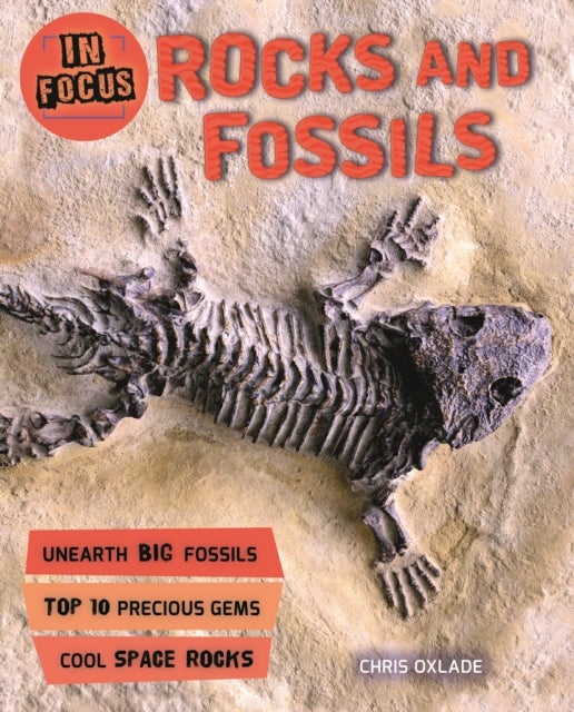 Bilde av In Focus: Rocks And Fossils Av Chris Oxlade