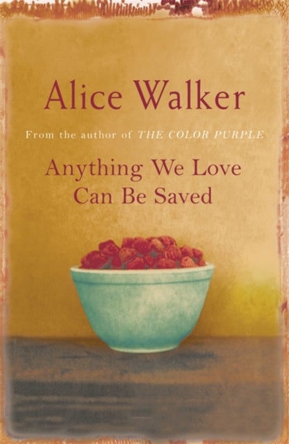 Bilde av Anything We Love Can Be Saved Av Alice Walker