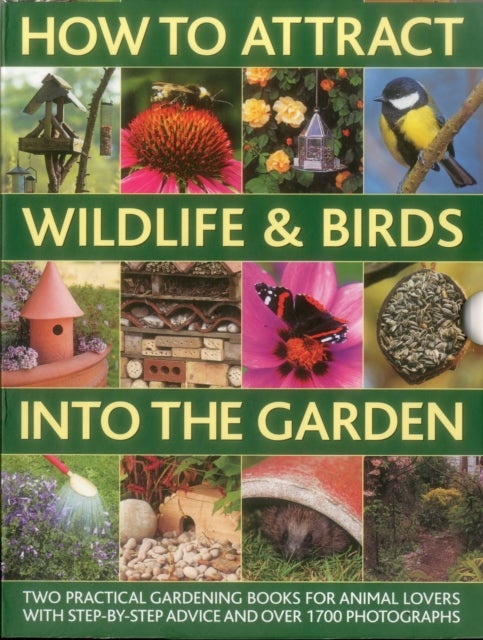 Bilde av How To Attract Wildlife &amp; Birds Into The Garden Av Christine Lavelle, Michael Lavelle