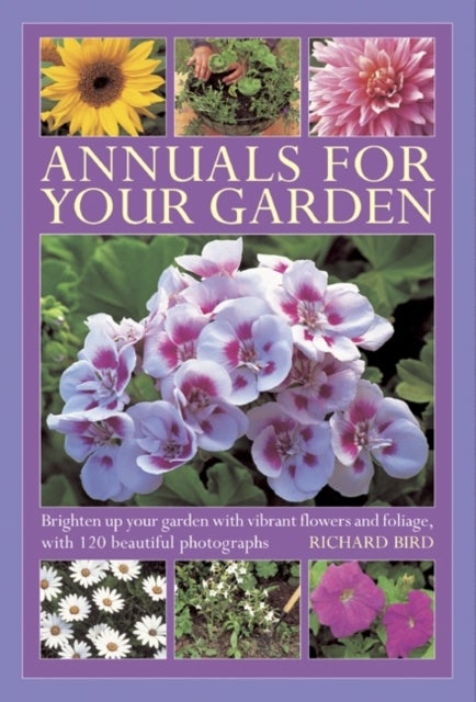 Annuals for Your Garden - Brighten Up Your Garden with Vibrant Flowers and Foliage