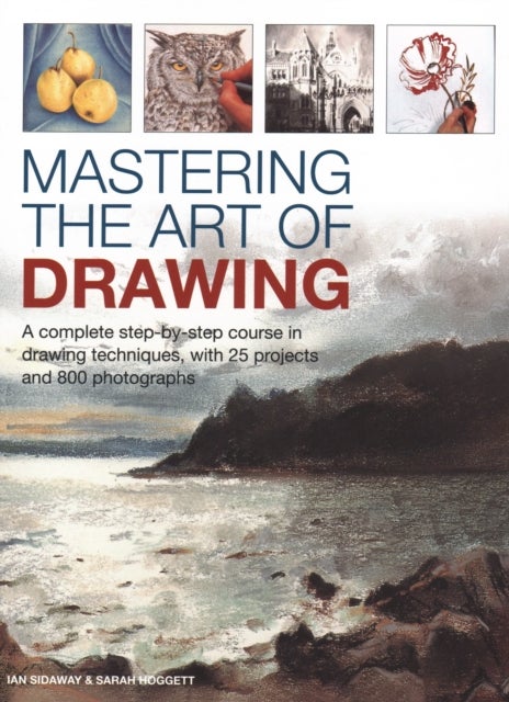 Mastering the Art of Drawing - A complete step-by-step course in drawing techniques, with 25 projects and 800 photographs