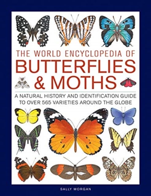 Bilde av Butterflies &amp; Moths, The World Encyclopedia Of Av Sally Morgan