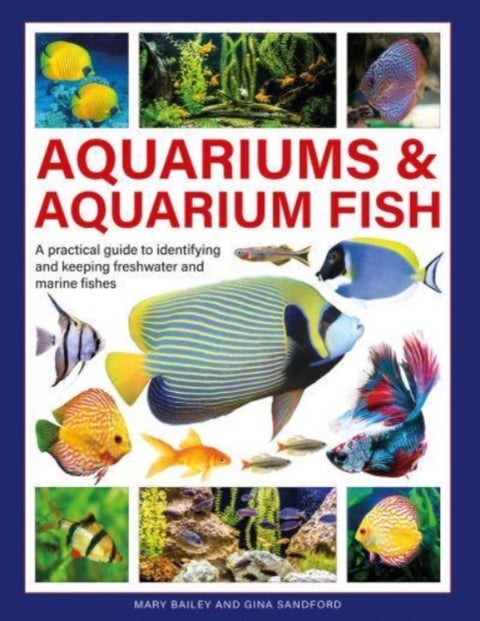 Aquariums & Aquarium Fish - A practical guide to identifying and keeping freshwater and marine fishes