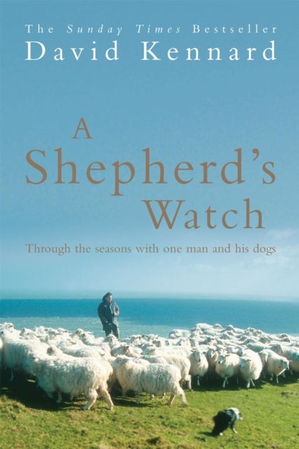 Bilde av A Shepherd&#039;s Watch Av David Kennard
