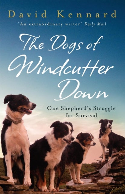 Bilde av The Dogs Of Windcutter Down Av David Kennard