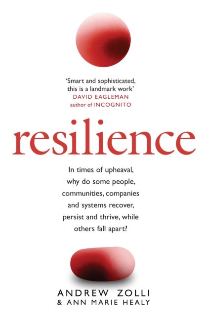 Resilience - Why Things Bounce Back