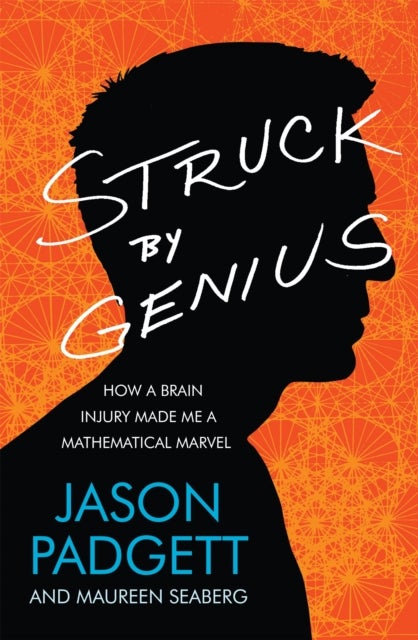 Struck by Genius - How a Brain Injury Made Me a Mathematical Marvel