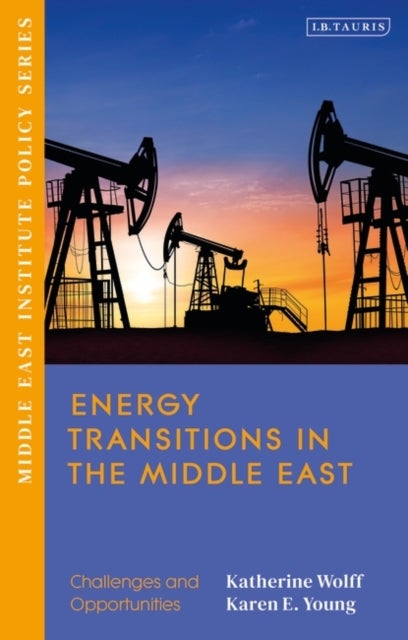 Bilde av Energy Transitions In The Middle East
