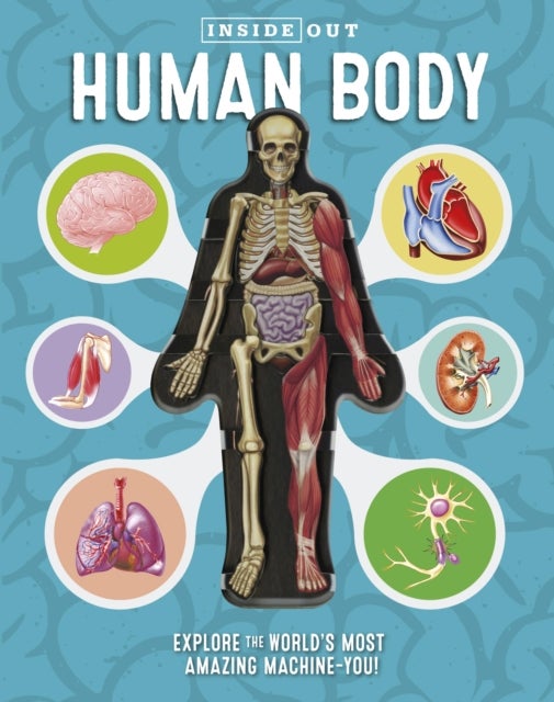 Bilde av Inside Out Human Body Av Luann Columbo