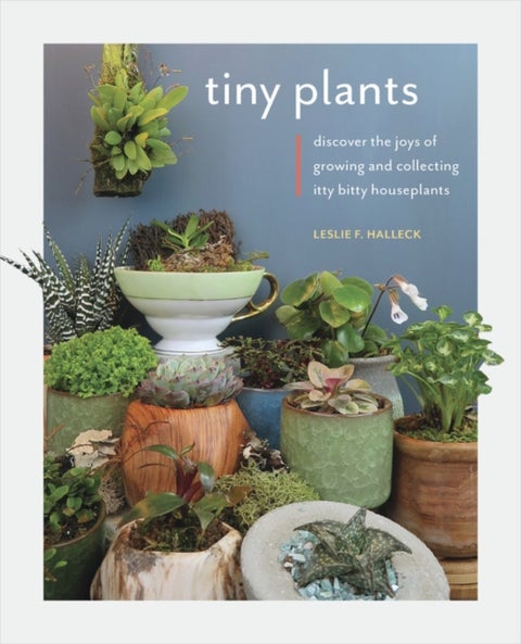 Tiny Plants - Discover the joys of growing and collecting itty-bitty houseplants
