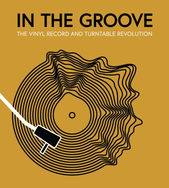 In the Groove - The Vinyl Record and Turntable Revolution