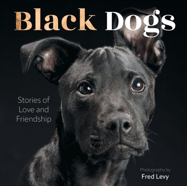Black Dogs - Stories of Love and Friendship