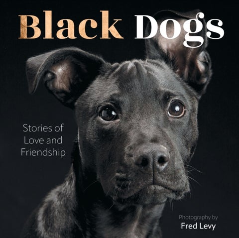 Black Dogs - Stories of Love and Friendship