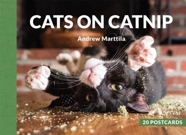 Bilde av Cats On Catnip: 20 Postcards Av Andrew Marttila