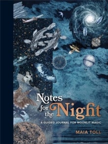 Bilde av Notes For The Night Av Maia Toll