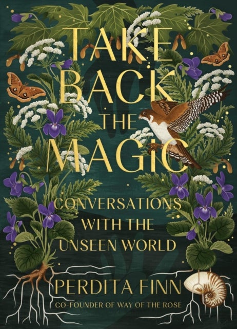 Take Back the Magic - Conversations with the Unseen World