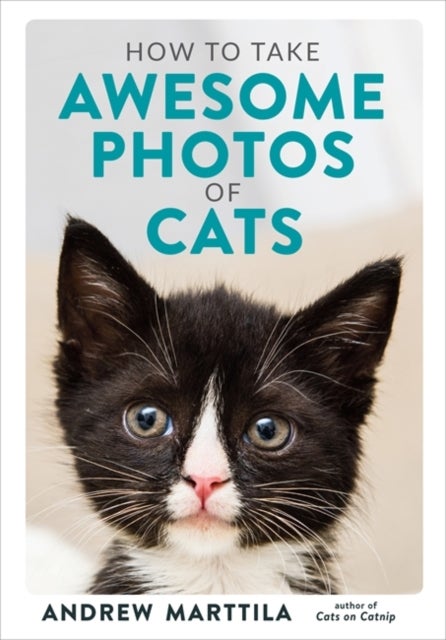 Bilde av How To Take Awesome Photos Of Cats Av Andrew Marttila