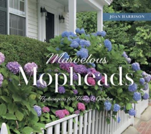 Marvelous Mopheads - Hydrangeas for Home & Garden