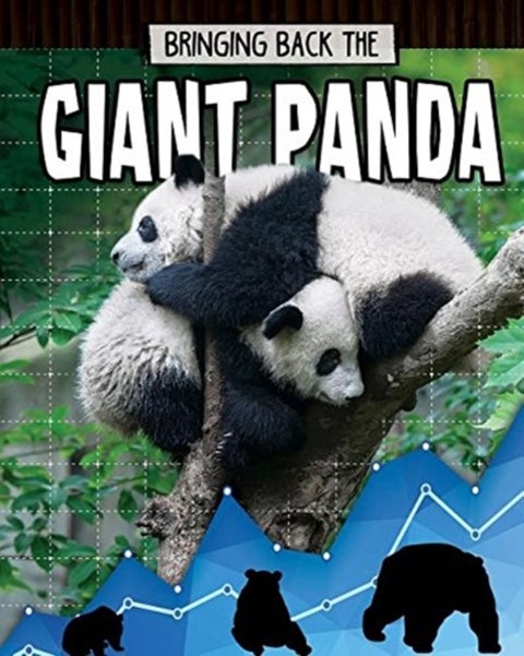 Giant Panda - Animals Back from the Brink