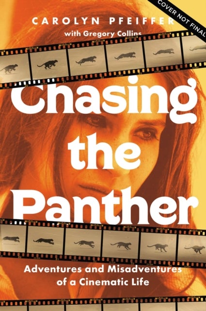 Chasing the Panther - Adventures and Misadventures of a Cinematic Life