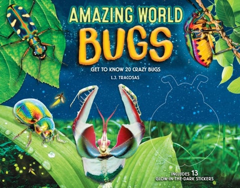 Amazing World: Bugs - Get to know 20 crazy bugs