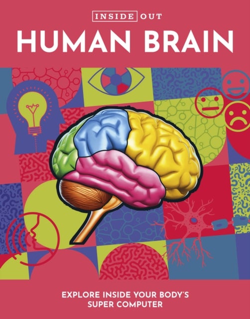 Bilde av Inside Out Human Brain Av Editors Of Chartwell Books