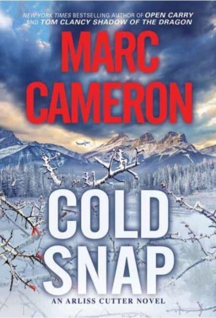 Cold Snap - An Action Packed Novel of Suspense