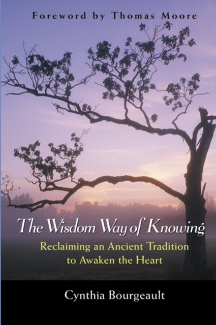 The Wisdom Way of Knowing - Reclaiming An Ancient Tradition to Awaken the Heart
