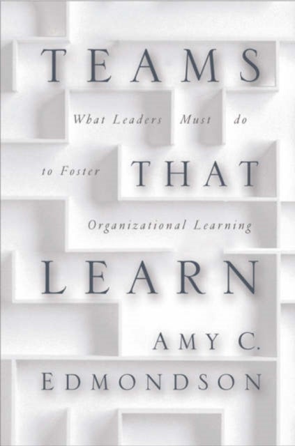 Teaming - How Organizations Learn, Innovate, and Compete in the Knowledge Economy