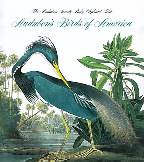 Bilde av Audubon&#039;s Birds Of America Av Roger Tory Peterson, Virginia Marie Peterson