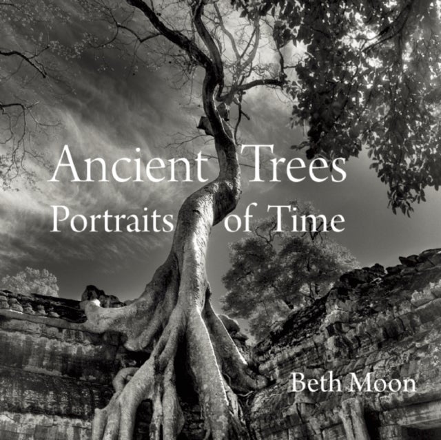 Bilde av Ancient Trees Av Beth Moon