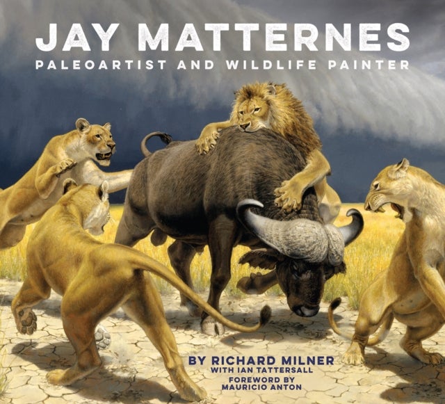 Jay Matternes - Paleoartist and Wildlife Painter