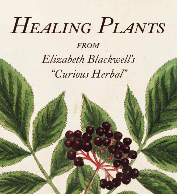 Bilde av Healing Plants