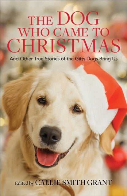 Bilde av The Dog Who Came To Christmas - And Other True Stories Of The Gifts Dogs Bring Us Av Callie Smith Grant