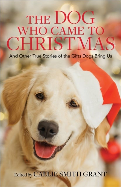 The Dog Who Came to Christmas - And Other True Stories of the Gifts Dogs Bring Us