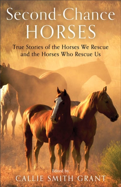 Bilde av Second¿chance Horses ¿ True Stories Of The Horses We Rescue And The Horses Who Rescue Us Av Callie Smith Grant