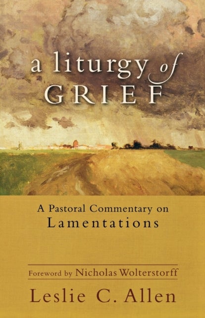 Bilde av A Liturgy Of Grief - A Pastoral Commentary On Lamentations Av Leslie C. Allen, Nicholas Wolterstorff