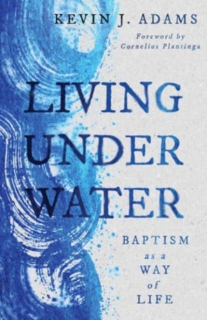 Living Under Water - Baptism as a Way of Life