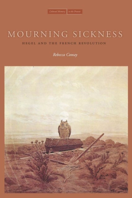 Mourning Sickness - Hegel and the French Revolution
