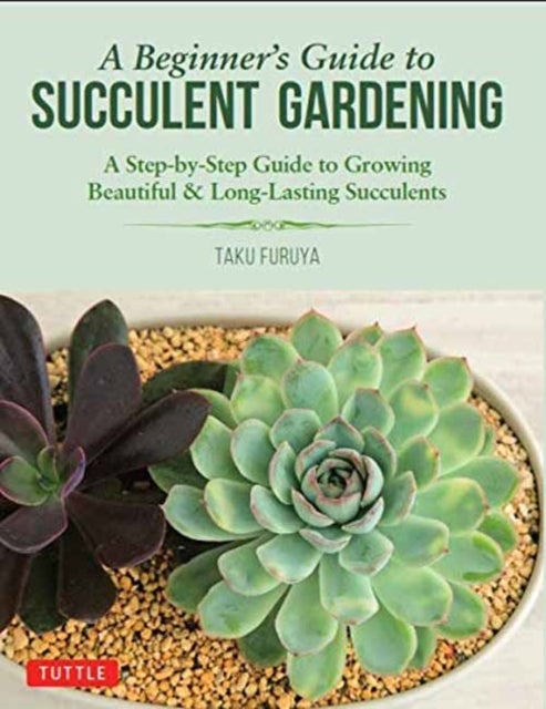 Bilde av A Beginner&#039;s Guide To Succulent Gardening Av Taku Furuya