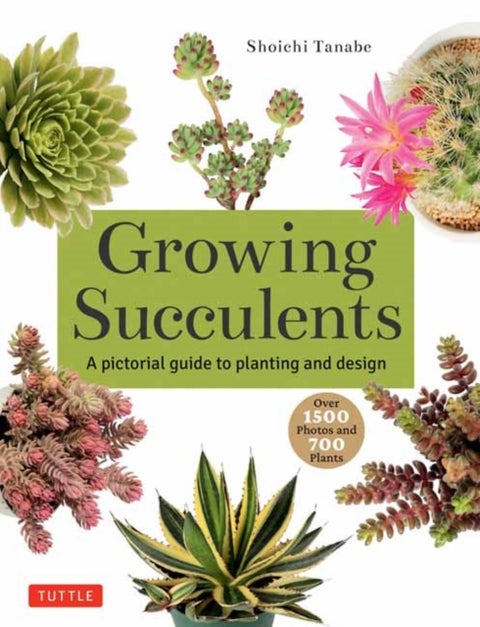 Growing Succulents - A Pictorial Guide (Over 1,500 photos and 700 plants)