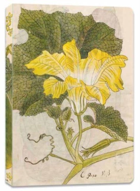 Japanese Squash Blossom Lined Paperback Journal - Blank Notebook with Pocket