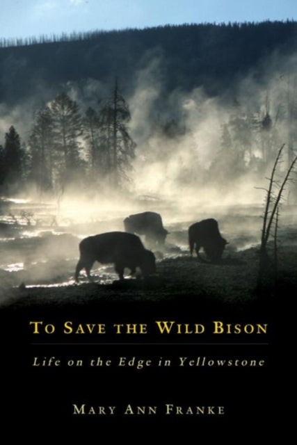To Save the Wild Bison - Life on the Edge in Yellowstone