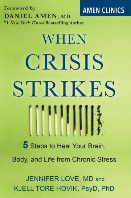 When Crisis Strikes - 5 Steps to Heal Your Brain, Body, and Life from Chronic Stress