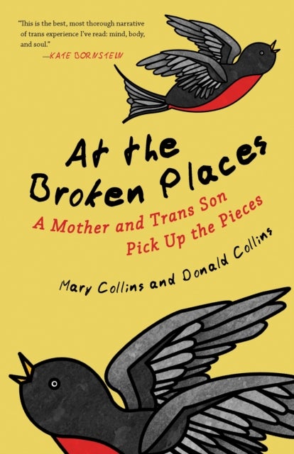 At the Broken Places - A Mother and Trans Son Pick Up the Pieces