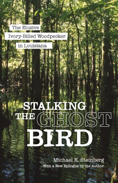 Stalking the Ghost Bird - The Elusive Ivory-Billed Woodpecker in Louisiana