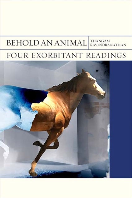 Behold an Animal - Four Exorbitant Readings