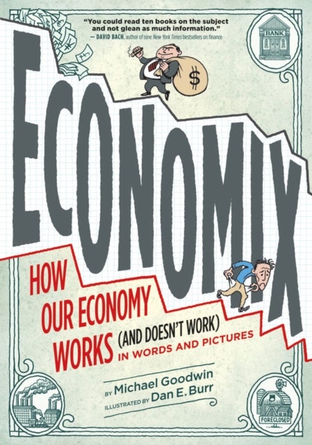 Economix - How and Why Our Economy Works (and Doesn't Work), in Words and Pictures